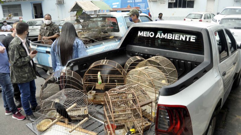 Guarda Ambiental de Barra Mansa divulga balanço de atendimentos de 2023